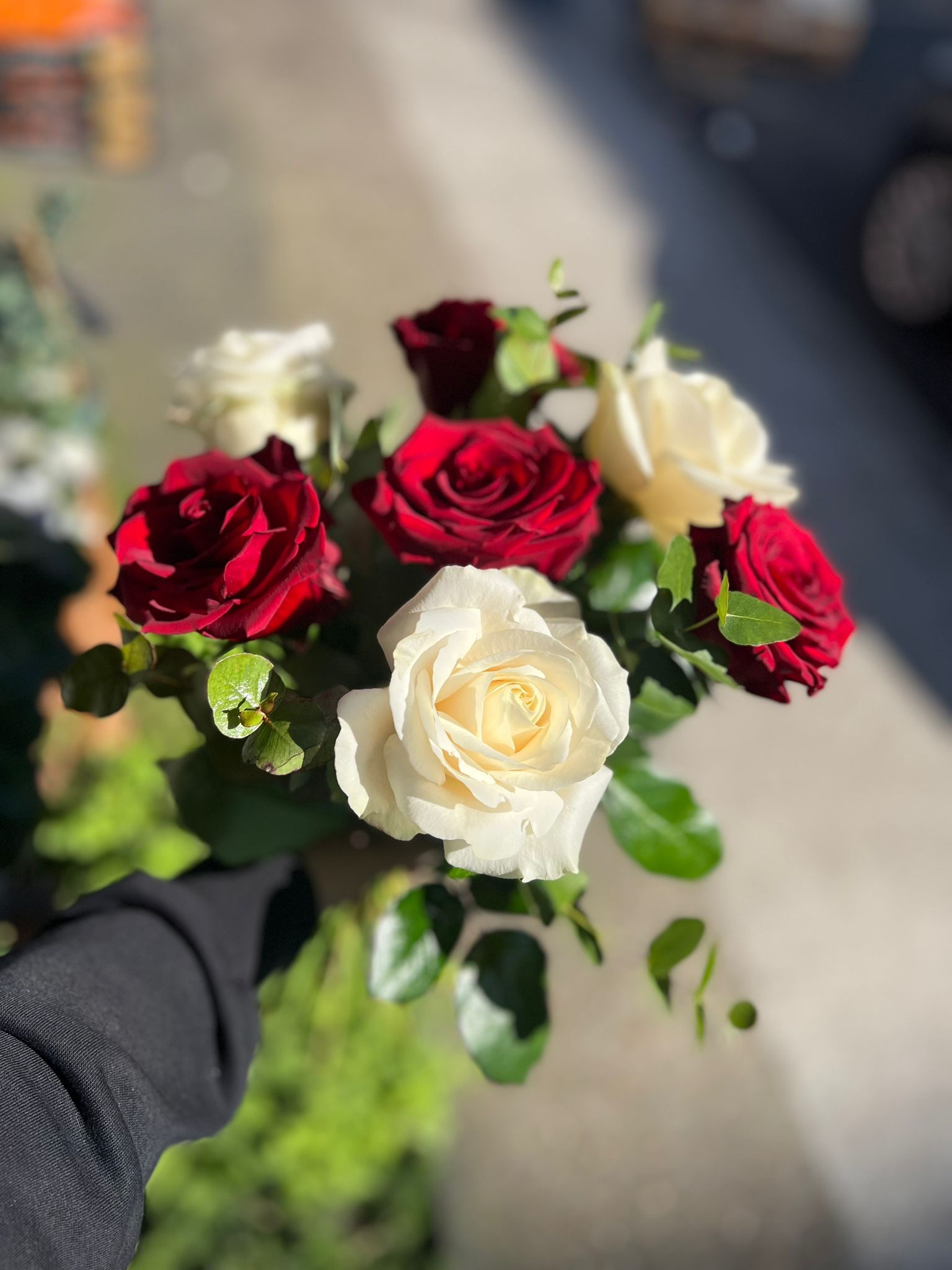 Mila Bouquet - Image 6