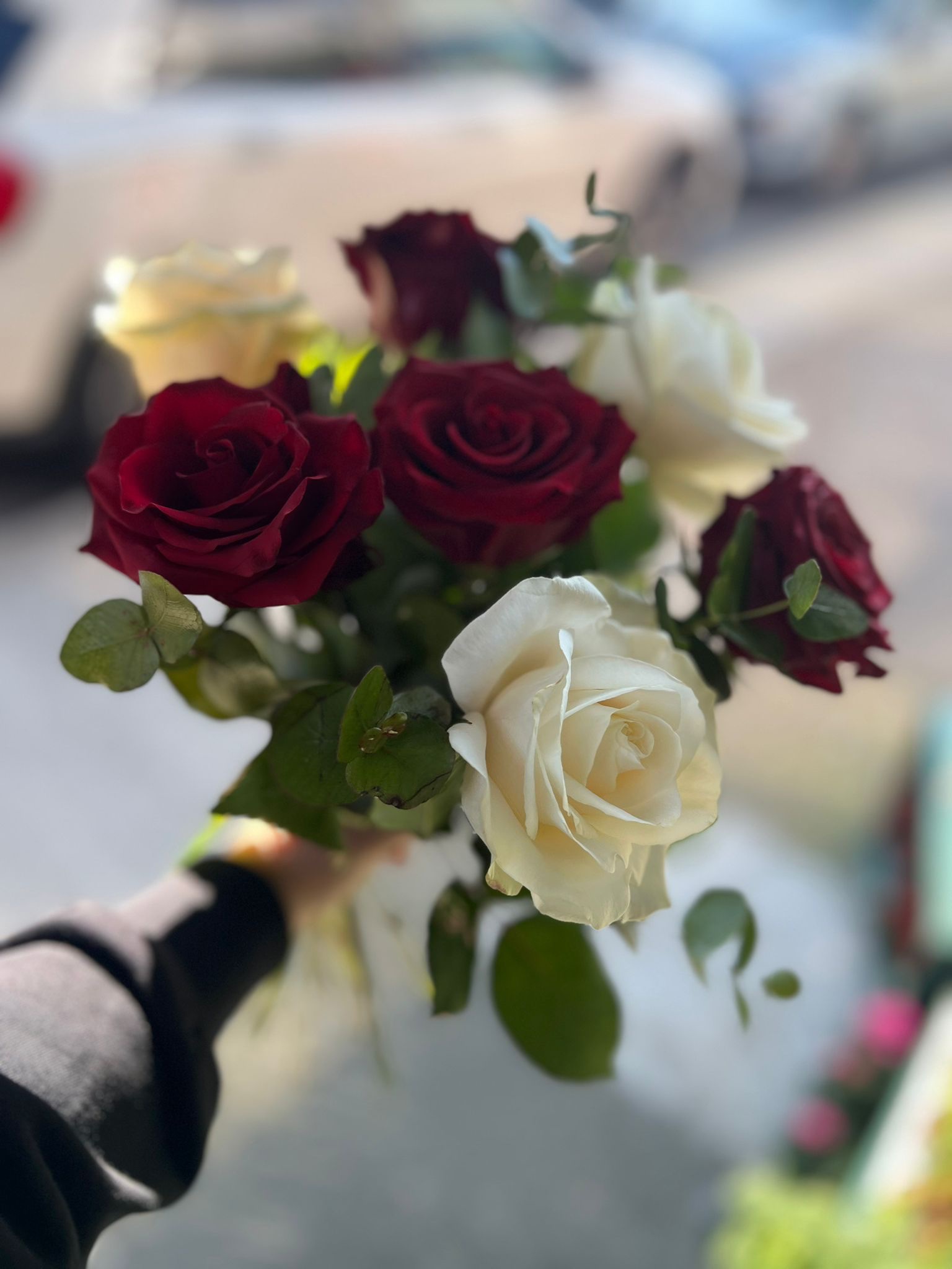 Mila Bouquet - Image 4